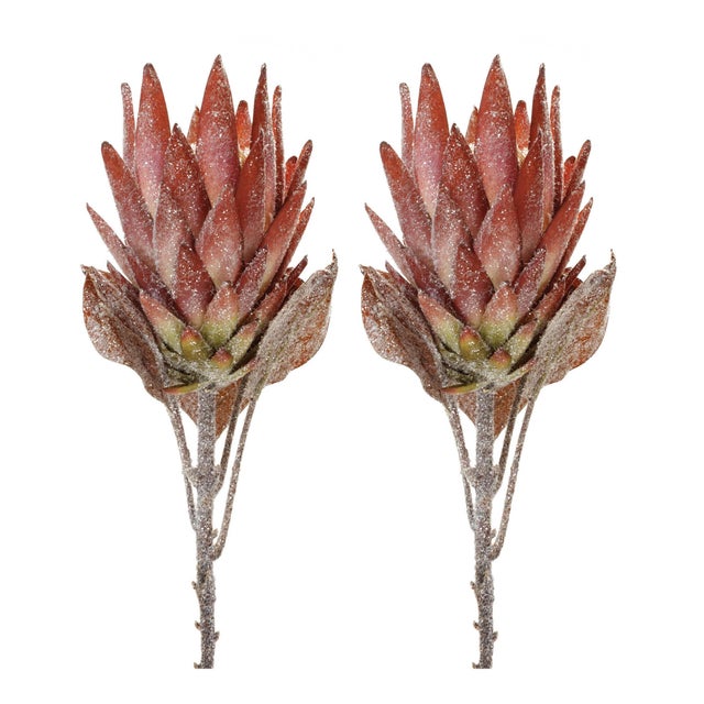 Contemporary Orange Protea Flower Stem (Set of 2) For Sale - Image 3 of 3