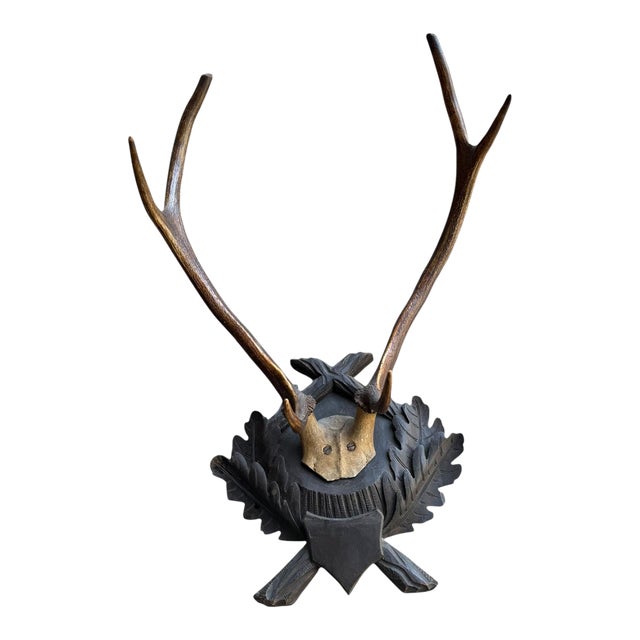 Large Trophy Black Forest Mount Antler Rack #1 For Sale