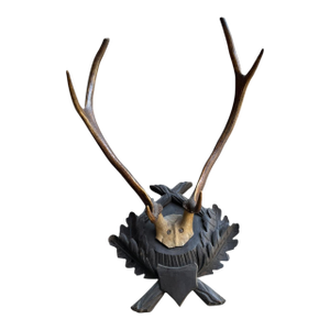 Large Trophy Black Forest Mount Antler Rack #1