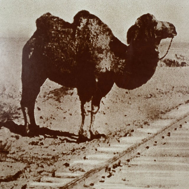 ABOUT R.B. Kitaj, Turk Sib: The Most Important Film Ever Made, Screenprint Edition of 70 Signed and numbered 63/70 in...