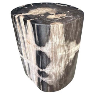 Andrianna Shamaris Modern Organic Petrified Wood Side Table For Sale