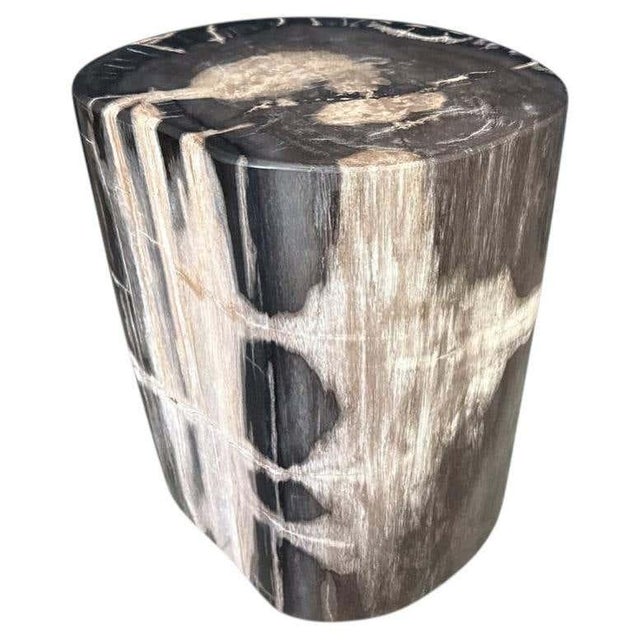 Andrianna Shamaris Modern Organic Petrified Wood Side Table For Sale