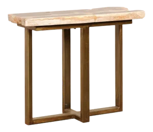 Petrified Wood Console Table with Modern Metal Base