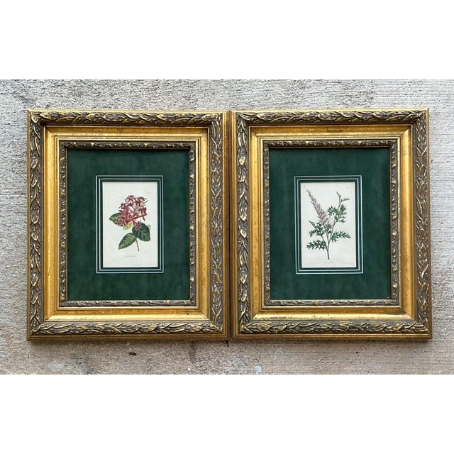 Victorian Vintage Framed Botanical Floral Prints - A Pair For Sale - Image 3 of 12