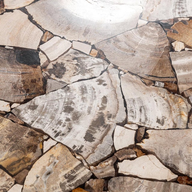 Petrified Wood Top Organic Teak Console Table For Sale - Image 14 of 14