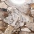 Petrified Wood Top Organic Teak Console Table For Sale - Image 14 of 14