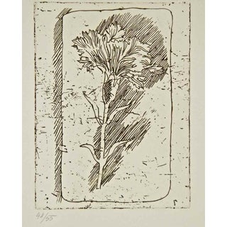 Attilio Rossi, The Carnation, Etching, 1970s For Sale