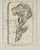 Attilio Rossi, The Carnation, Etching, 1970s For Sale