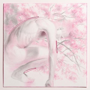 Figure 4 by Matthew Alfonso Durante | Graphite and Oil Pencil on Paper Depiction of a figure among pink trees