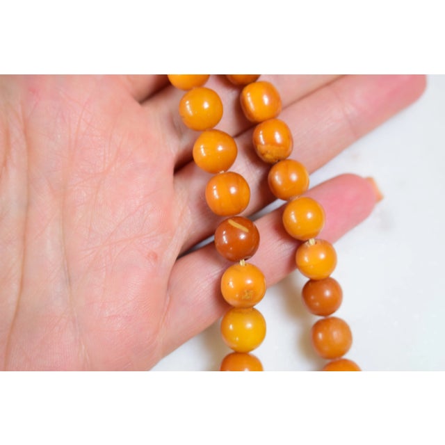 Antique Baltic Amber Choker Necklace, 1940s For Sale - Image 14 of 16