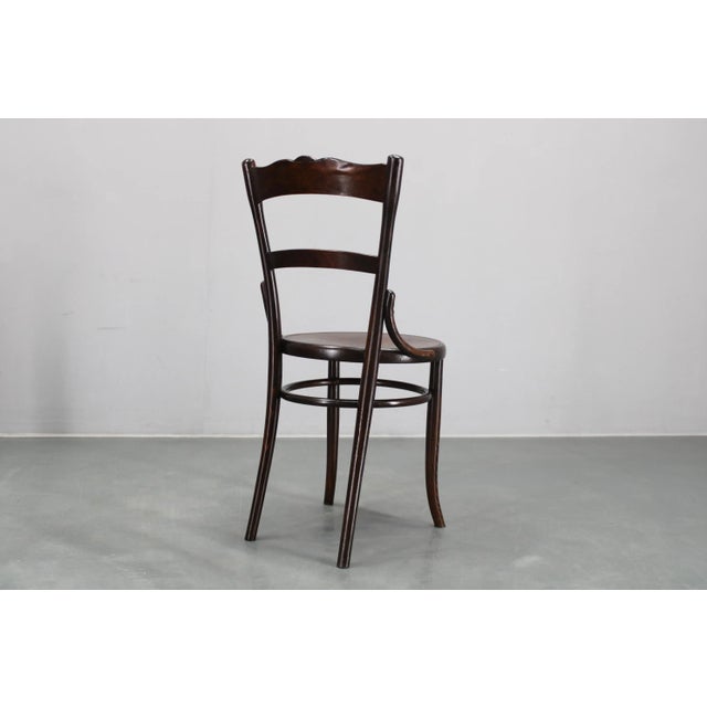 Thonet Czechoslovakian Chair from Thonet, 1930s For Sale - Image 4 of 15
