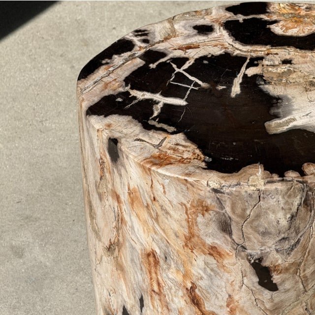 Side Table in Petrified Wood with Black Spots, 1980s For Sale - Image 17 of 18