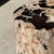 Side Table in Petrified Wood with Black Spots, 1980s For Sale - Image 17 of 18