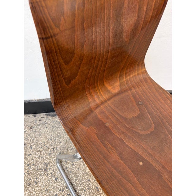 Mid-Century Modern Pagholz Chair by Flötotto, 1960s For Sale - Image 6 of 8