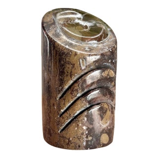 Mid 20th Century Polished Ammonite Fossil Card Holder For Sale