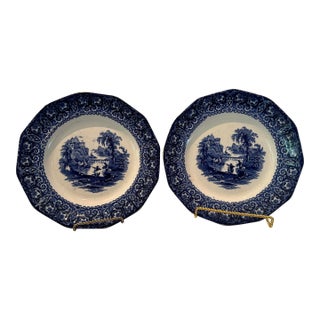 Pair of Antique Staffordshire Blue and White Plates For Sale