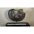 Early 20th Century Early 20th Century Silver Necklace or Neck Ring on Stand From the Golden Triangle For Sale - Image 5 of 5