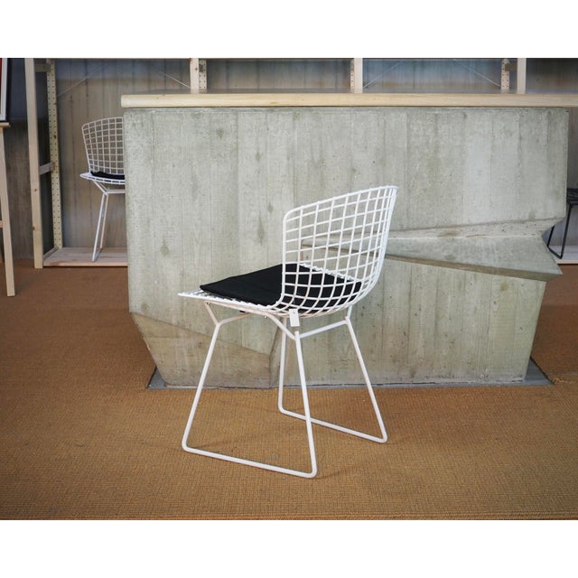 Bertoia Side Chairs with Cushion by Harry Bertoia for Knoll International, Set of 4 For Sale - Image 6 of 16