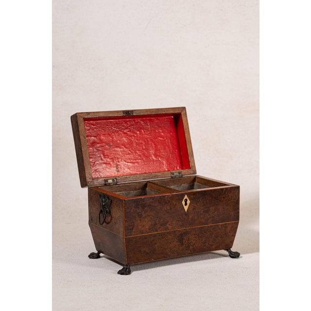 Regency Burl Yew Tea Caddy (C. 1820) For Sale - Image 9 of 10
