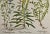 Realism Flowering Peppermint Plants: A 17th C. Besler Hand-Colored Botanical Engraving, 1640 For Sale - Image 3 of 7