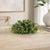 Rustic Spring Boxwood Foliage Half Orb (Set of 6) For Sale - Image 3 of 4