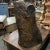 Late 20th Century Raw Wood Tree Stump Vessel From the Phillipines For Sale - Image 4 of 10