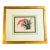 Pieter De Pannemaeker Antique 1890 Botanical Lithograph of Cochlioda Miniata Orchid For Sale