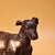 Vintage Chinese Bronze Standing Hunting Dog With Gilded Patina For Sale - Image 9 of 9