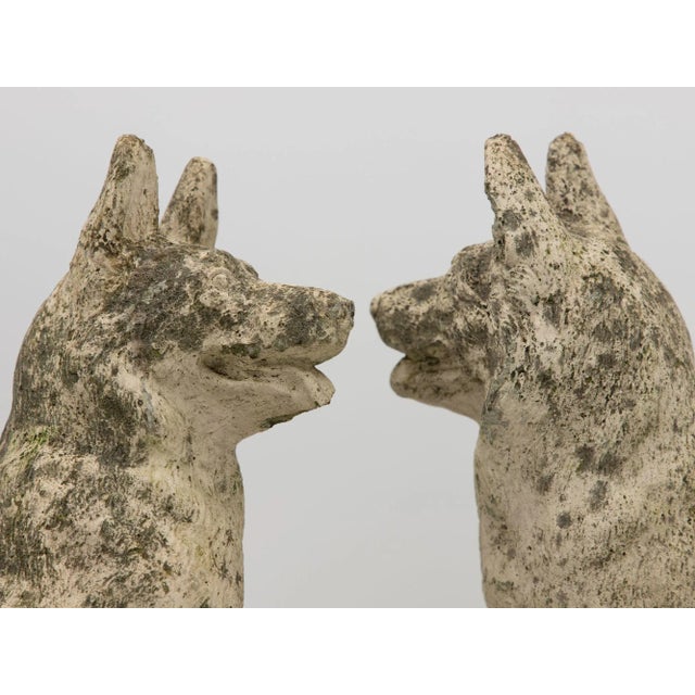 White Pair of Concrete Shepherd Dogs, English Mid 20th Century For Sale - Image 8 of 9
