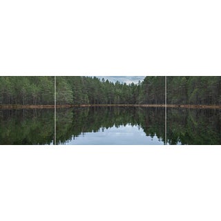 Bernhard Lang, Deep_Mirroring_Forest_014 Triptych, Photographs, Set of 3 For Sale