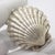 Vintage Italian Handmade Silver Shell Shaped Box, 1970s For Sale - Image 3 of 14
