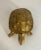 This nice turtle sculpture is made of brass. This is a French work, circa 1970.