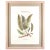 Paper Original Custom Botanical Fern Prints with Makers Stamp For Sale - Image 7 of 7