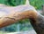 Tribal Vintage Hand Carved, Wooden Whale Sculpture,signed For Sale - Image 3 of 3
