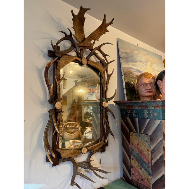 Cabin Antler Mirror German Antique Dog Rosette For Sale - Image 3 of 10