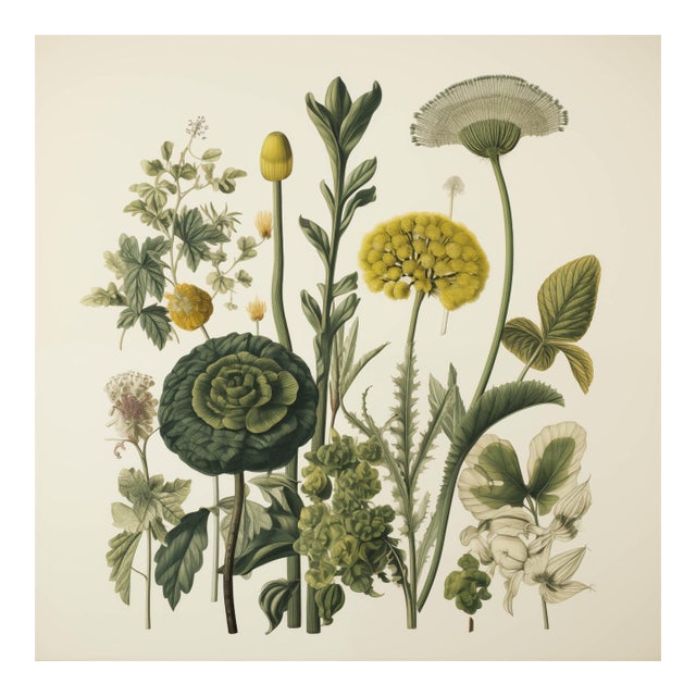 Vintage Botanical Garden Study No. 7 | Botanical Wall Art in Dark Green & Cream For Sale
