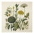 Vintage Botanical Garden Study No. 7 | Botanical Wall Art in Dark Green & Cream For Sale