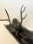 1970s Iron Sculpture of Recumbent Stag Deer on Wood Base For Sale - Image 5 of 6
