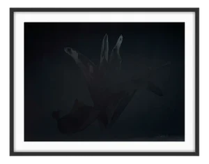 Czeslaw Czaplinski, Lily, 1995, Photographic Print