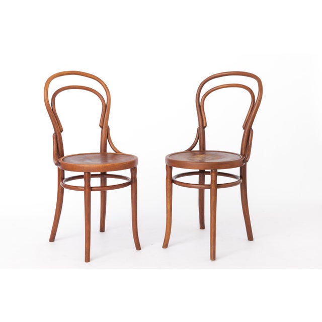 Antique Austrian Beech Bentwood Dining Chairs, 1930s, Set of 2 For Sale - Image 12 of 12