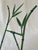 Green Hollywood Regency Faux Bamboo Metal Picture Frame Tabletop Easel For Sale - Image 8 of 10