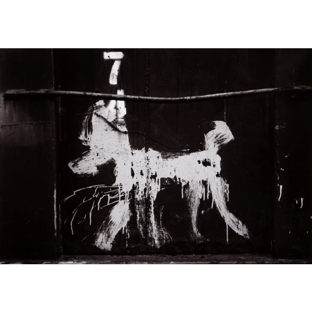 American Carlos Gustavo, Peter Mayer Dog on Dumpster, Nyc, Gelatin Silver Print on Fiber Paper, Signed Verso For Sale - Image 3 of 3