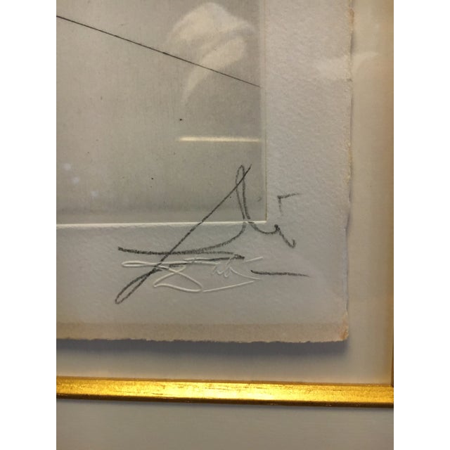 Salvador Dalí Salvatore Dali “Blazon” Etching For Sale - Image 4 of 8