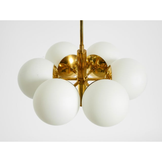 Vintage Brass Pendant Lamp with Six Opal Glass Shades from Kaiser Leuchten, 1960s For Sale - Image 4 of 16