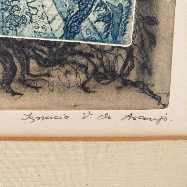 Ignacio V. De Araujo, Gardens, Color Engraving on Paper, Framed For Sale - Image 5 of 9