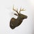 1960s Big Size Sergio Bustamante Stag Head, Attributed For Sale - Image 6 of 17