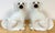 Large Pair of Victorian Staffordshire Spaniel Dogs with Amber Glass Eyes, England, Circa 1860 This impressive pair of...