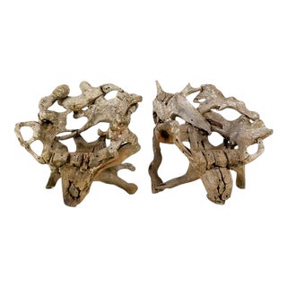 Teak Root Wood Armchairs, Set of 2 For Sale