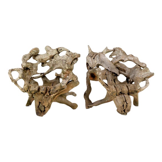 Teak Root Wood Armchairs, Set of 2 For Sale