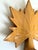 Swedish Hand-Carved Maple Leaf Wall Lamp with Sisal Shade, 1950s For Sale - Image 4 of 13